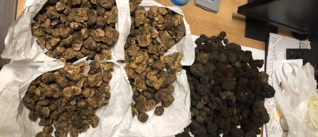 Vendita In Nero E Senza Tracciabilita Sequestrati 10 Kg Di